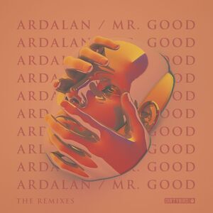 Ardalan - Mr. Good - The Remixes  12-INCH SINGLE